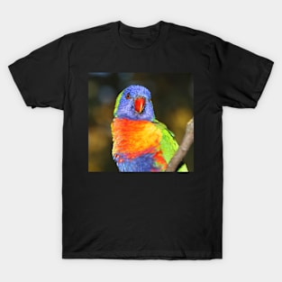 Rainbow Lorikeet Portrait T-Shirt